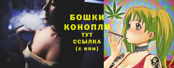 хмурый Гусев