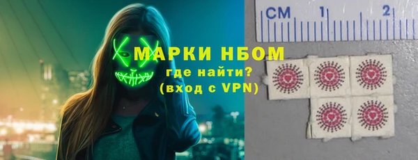хмурый Гусев
