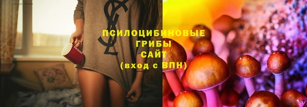 хмурый Гусев