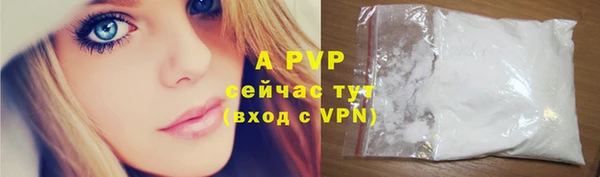хмурый Гусев