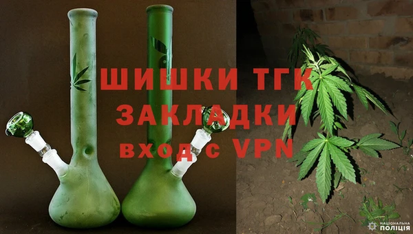 хмурый Гусев