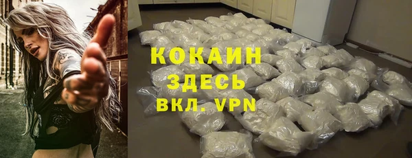 хмурый Гусев