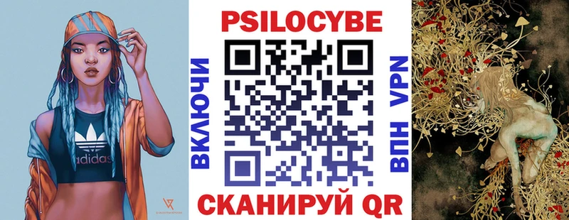 Псилоцибиновые грибы GOLDEN TEACHER  купить наркоту  блэк спрут ONION  Динская 